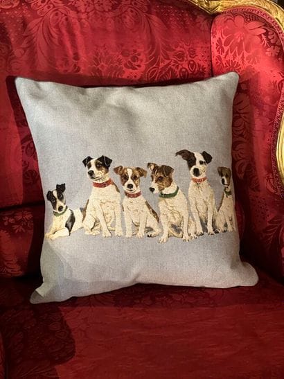 Coussin en tissu à décor brodé de Jack Russel
44...