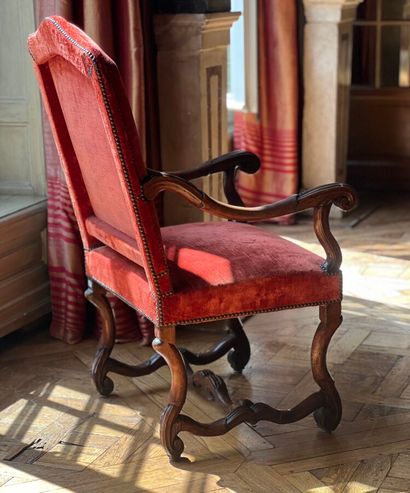 Armchair in carved natural wood, with curved...