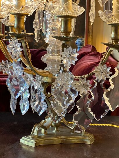 Pair of large bronze girandoles with eleven...