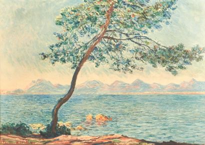 Set of framed pieces, canvas, reproductions,...