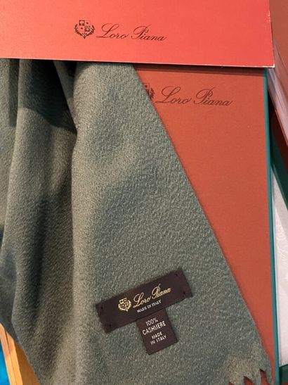 LORO PIANA - Écharpe pour homme.

Le modèle...