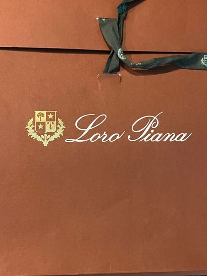 LORO PIANA - Chemise ANDRE

Le modèle est...