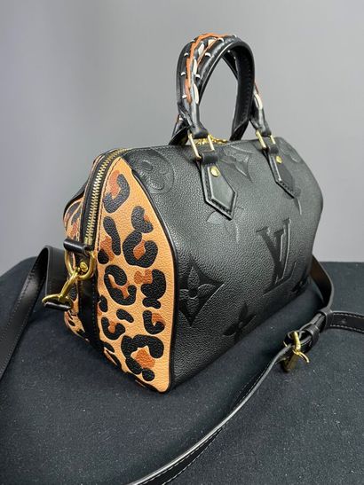 LOUIS VUITTON - Sac SPEEDY PM édition spéciale...