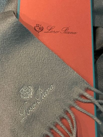 LORO PIANA - Écharpe pour homme.

Le modèle...