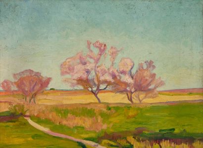 Eugène BOCH (1855-1941)
Trees in bloom in...
