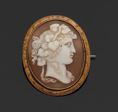 Shell cameo brooch depicting a profile of...
