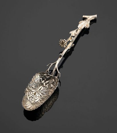 Naturalist spoon in silver and traces of...