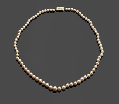 Necklace of tumbling cultured pearls, ratchet...