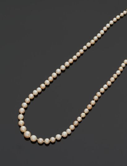 Necklace of fine pearls, clasp in 18k (750...