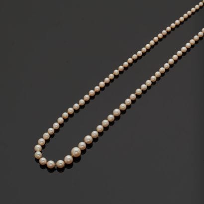 A necklace of tumbling cultured pearls, the...