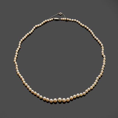A necklace of tumbling cultured pearls, the...