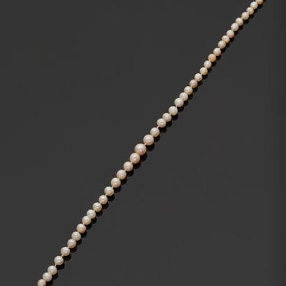 Necklace of fine pearls, clasp in 18k (750...