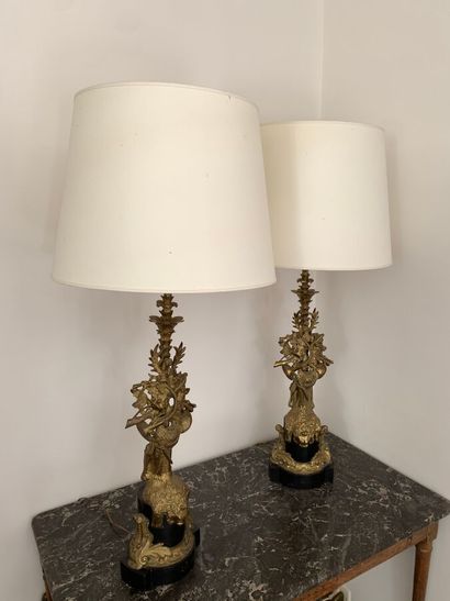 Paire de candélabres montés en lampe en marbre...