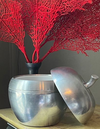 Covered apple-shaped ice cube bucket, brushed...