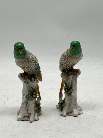 Paire de perruches en porcelaine dans le...