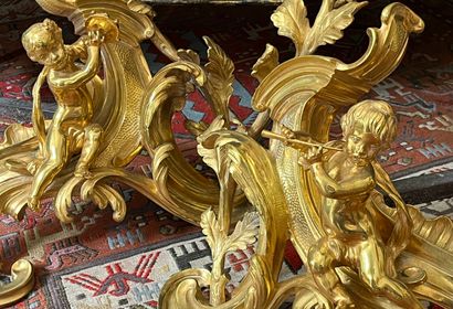 Pair of Louis XV style gilt bronze andirons...