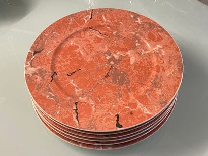 VIILLEROY et BOCH - 6 porcelain plates with...