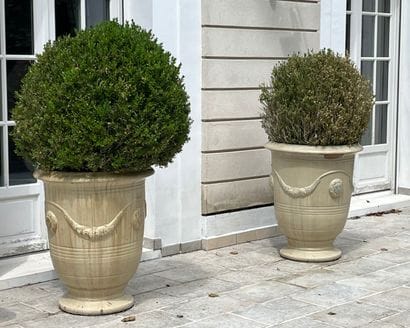 Three cream glazed ceramic lemon pots in...