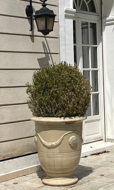 Three cream glazed ceramic lemon pots in...