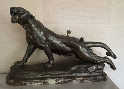 Louis-Albert CARVIN (1875-1951) d'après
Lionne...