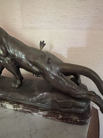 Louis-Albert CARVIN (1875-1951) d'après
Lionne...