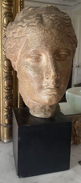 Tête de plâtre d'après l'Antique
Hauteur...