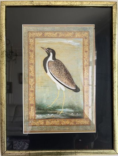 Deux cadres oiseaux (copies photocopies)
Dimensions...