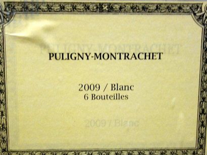 6 Bouteilles PULIGNY MONTRACHET 2009 - L....