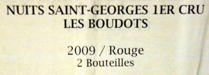 2 Bouteilles NUITS St GEORGES 