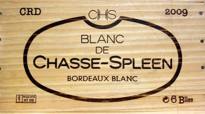 6 Bouteilles Château CHASSE SPLEEN BLANC...