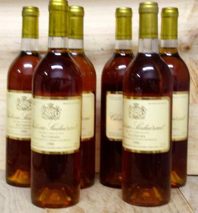 6 Bouteilles Château SUDUIRAUT 1990 - Sauternes...
