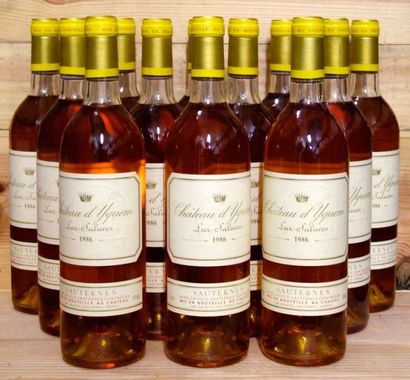 12 Bouteilles Château YQUEM 1986 - Sauternes...