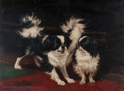 Charles-Emmanuel JADIN (1866-1906)
Deux chiens...