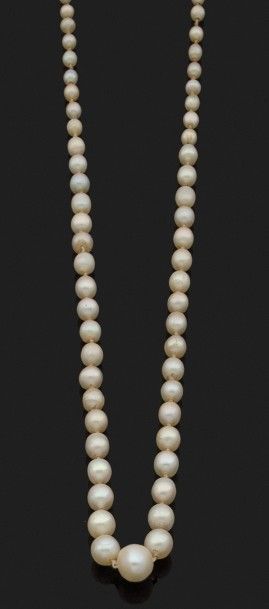 COLLIER de perles fines sur un rang en chute,...