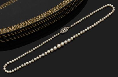 COLLIER UN RANG de quatre-vingt-dix-huit...