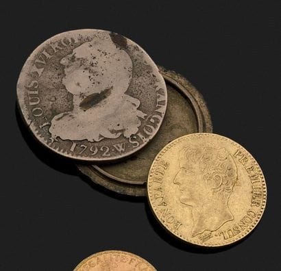 France
PIÈCE DE 40 FRANCS OR an 12, profil...