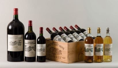 10 Bouteilles Château Larrivet Haut-Brion,...
