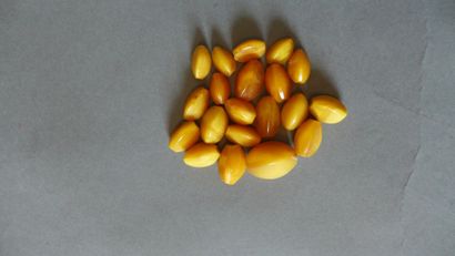 Boules d'ambre facettées et percées.
Poids:...