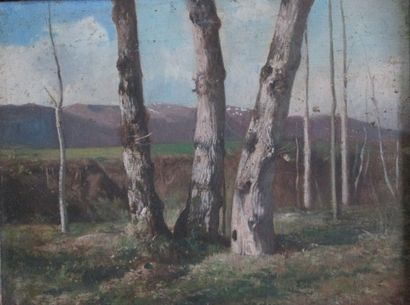 École Française du XIXe siècle

Étude d'arbre
Huile...