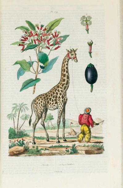 GUÉRIN (Félix-Edouard).
Dictionnaire pittoresque...