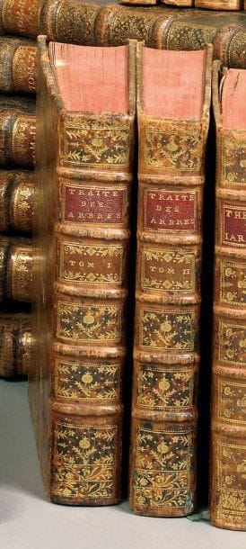 DUHAMEL DU MONCEAU.
Traité des arbres et...