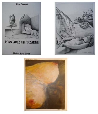 Lot de 2 livres : Vous avez dit bizarre ?...