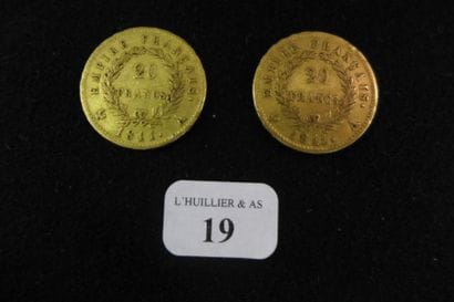 FRANCE

Lot de deux pièces de 20 francs or...
