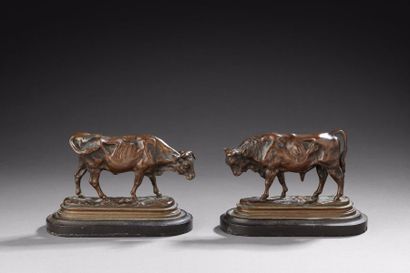 Taureau et vache en bronze à patine brune...