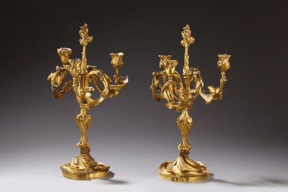 Henry DASSON (1825-1893)
Paire de grands...