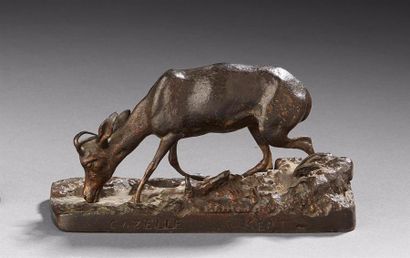 D'après Pierre Jules MENE (1810-1879)
Gazelle...
