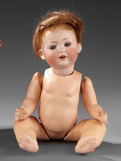 Bébé allemand à tête caractérisée marquée...