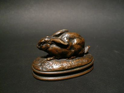 d'après BARYE
Lapin couché aux oreilles rabattues...