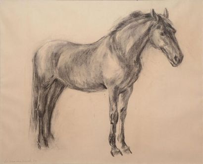 MOREL Willem Vaarzon II, né en 1931
Cheval,...