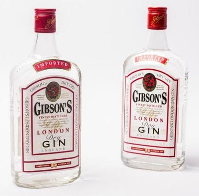 2 Gin Gibson 0.70cl à 37.5°